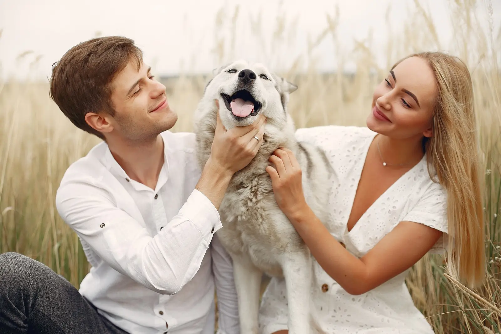 🐾 Lo que Debes Saber sobre la Ley de Bienestar Animal para tu Boda