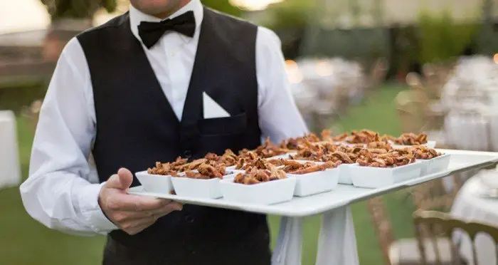 Plan de boda 